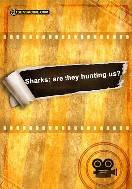 Sharks: Are They Hunting Us?